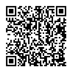 指名道姓的把市文化局那个杜局长和市歌舞团那个王团长给告了一状二维码生成
