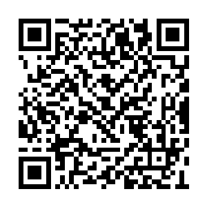 指着桌子上那个纸盒子得意洋洋的样子很讨人厌二维码生成