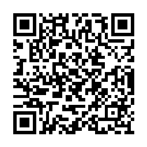 指着那里面的撞击袋子的东西张着嘴流出了口水二维码生成