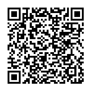 指鞒忠幻婢薅埽砼丶祝渖衔奘偵了福鋈巳缟饺缭溃馐嵌苑较氤龅亩钥怪ǎ二维码生成