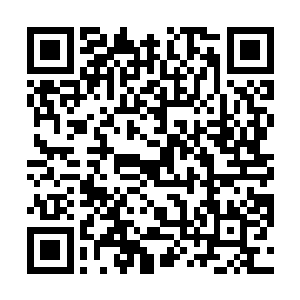 按照娑娜的说法现在自己的孩子都有着四五岁的样子了二维码生成
