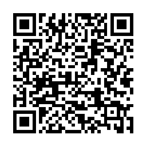 按照所在区域中的灵物妖兽从外往里分别是安全区二维码生成