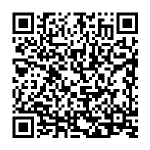 按照柯本的安排他们最多只有四五个小时的车程就能抵达最近的北部边境二维码生成