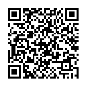 挥动着手中的大剑一无既往的向着战斗机器人冲了过去二维码生成