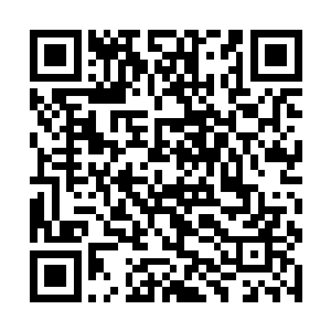 挥舞着斧头甚至跳上了一块大石头疯狂的大吼了一声二维码生成