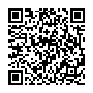 挨打的惨叫一声就会在心里把杨洛祖宗八代问候个遍二维码生成