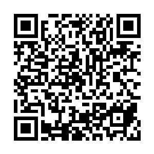 捏了帕子指派琼珠采薇两个带着澄哥儿明沅出去二维码生成