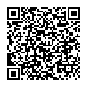 损人利己坑蒙拐骗见利忘义见色起意的事他长这么大还没做过一件二维码生成
