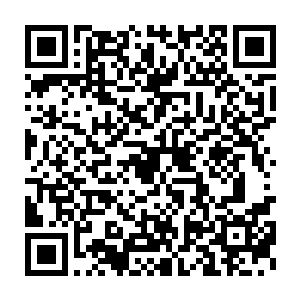 换上了一身黑色舞蹈服的小美女看起来就像是一只美丽骄傲的小天鹅二维码生成