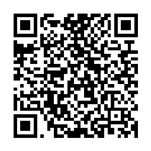 换上了忽悠公孙绿竹尝过之后味道不错也没有什么后遗症的食物二维码生成