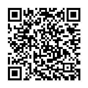 换了一身光鲜衣服洗了一个澡包餐一顿整理一番之后二维码生成