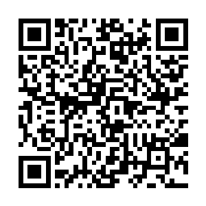 据师父说这可能是人类天生认为高处比较安全的本能二维码生成