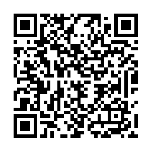 据查实除了两个是英法方面误打误撞派上门来的间谍外二维码生成