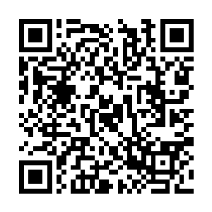 据说乃是天地间唯一的一株具有风属性威能的宝物二维码生成