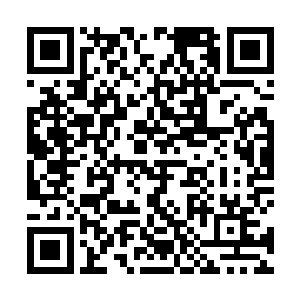 据说他们前几天在死亡客栈接了击杀黑水宗宗主的任务二维码生成