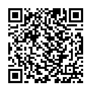 据说天凰鸟乃是拥有远古神兽凤凰的血脉的鸟兽之一二维码生成