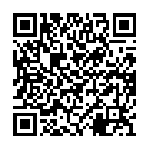 据说年轻貌美无可匹敌的陌红雪我也只是听说过二维码生成