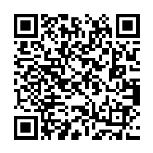 据说当初哈特森给她注入了自己的鲜血和神之本源二维码生成