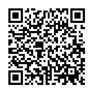 据说是东国很多年前举全国之力将那些野兽驱赶到山上去的二维码生成