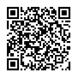 据说最新型的g900半液态金属机械人也已经在研究当中了……二维码生成