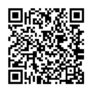 据说潜伏着当年吸血鬼女大公的圣血――那是第一代始祖二维码生成