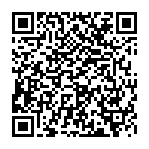 据说省委分管经济的副书记和昌州市委书记都将会是从中央或者外省调入二维码生成