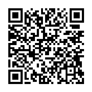 据说这是由一条死去的远古石锥龙的尸体化成的二维码生成