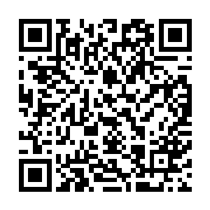 据说这飞红出道红了以后所有自己唱的词曲全部是自己编排二维码生成
