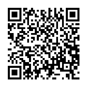 据说高深的德鲁伊甚至可以和一块石头聊上半天的历史二维码生成