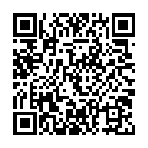 掌命和康斯坦丁的力量终究是被彻底炼化殆尽了二维码生成