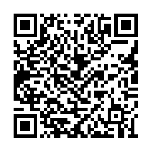 掌心袅袅升起一抹颤颤巍巍好似害病一样的灰雾二维码生成