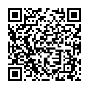 掌控世间武力和权力的骑士犯事若会牵连无辜家人二维码生成