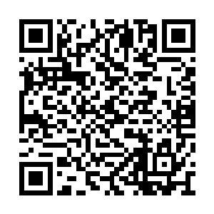接下来一幕幕可谓是令老单于以及一干匈奴重臣二维码生成
