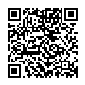 接下来一段时间雨果在好莱坞的发展道路绝对可以说是康庄大道二维码生成