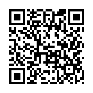接下来在十个月内每个月分期付款二维码生成