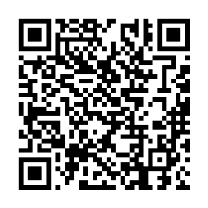 接下来对其他孩子们的处置延续了龙海的残忍风格二维码生成