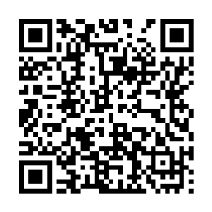 接下来就只能完全靠夏云杰神念在这片区域搜索了二维码生成