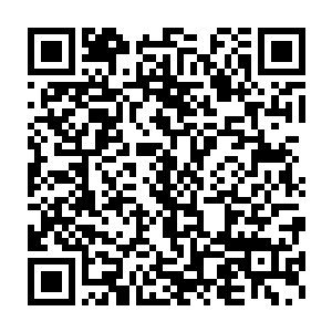 接下来拍卖的自然不可能都是类似九九归一元神丹这般昂贵的商品二维码生成