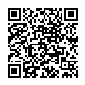 接下来敖液则是拿出来了一颗同样是金红色的珠子二维码生成