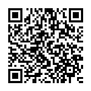 接下来的几个月时间里更是不厌其烦地在全美展开地毯式宣传二维码生成