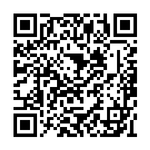 接下来过来的是圣隆皇族那边跟洪家交好的众人二维码生成