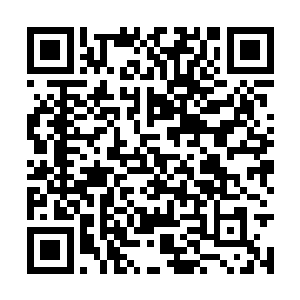 接令的人立刻带人过去看那几个昏迷在墙角的少年二维码生成
