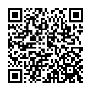 接受了誓言丹中早已立下的对八荒楼的完全保密条例二维码生成