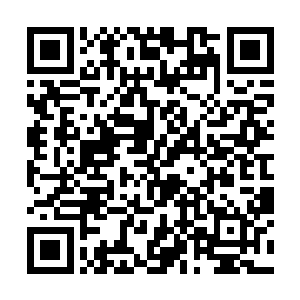 接受他们的采访――至少也要让他们多拍几张定点照二维码生成