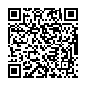 接来是不是这个伊莉莎趁着摸对方脸颊的机会施展幻术二维码生成