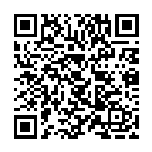 接着一个长得白白胖胖的中年男子从人群中走了出来二维码生成