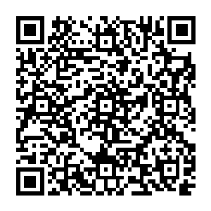 接着从怀里取出个跟巴克那无线电干扰仪差不多的手机模样插在电视机背后的插座上得意二维码生成