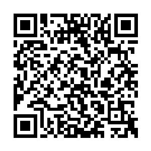 接着几辆符兽车厢中的休息的侍卫倒是警觉得很二维码生成