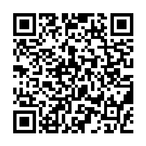 接着又有四名全副武装的海军陆战队士兵站在台阶上二维码生成