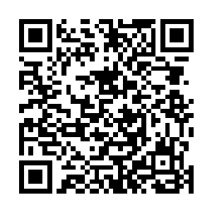 接着将赵长枪在夹河市胡同路伤人致死的事情告诉了魏婷二维码生成